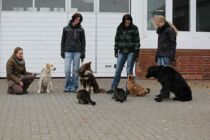 Den Artikel lesen: Was bedeutet artgerechte Hundeerziehung?